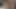 Sarah Arabic Artemixxx ile röportaj yapıyor ve sonra dölleniyor