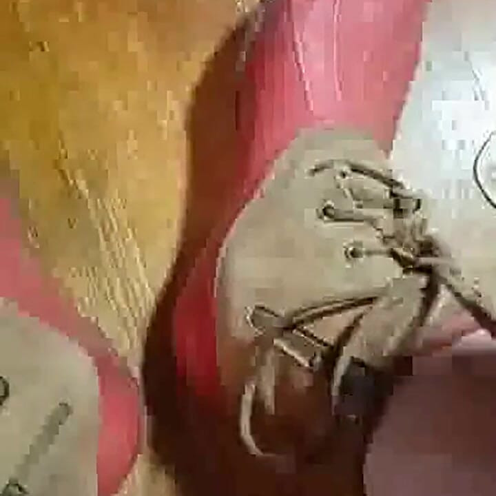Smell my stinky sweaty boots after working hard in the garden!