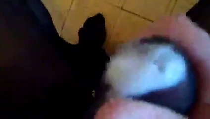 Dr99 için