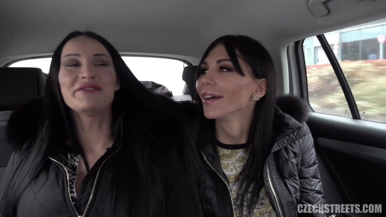 チェコの街 - ディックスとひよこ