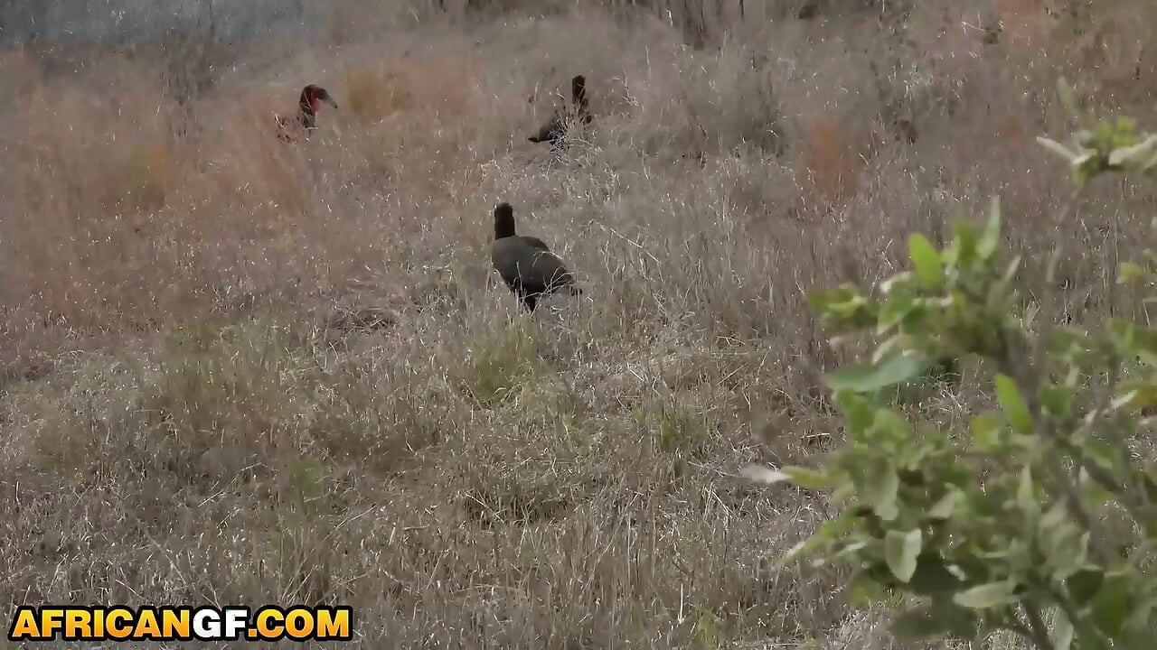 My EBONY TEEN ex girlfriend ditched her new man mid trip... came back to swallow my white cock