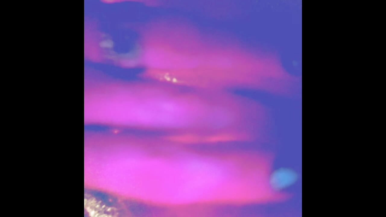 شيلبي لا تستطيع احتواء نفسها الليلة