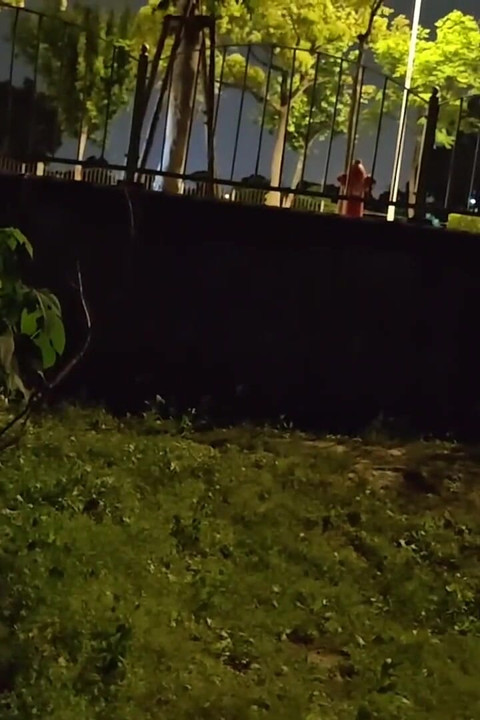 Jerking off with Bare Ass Next to a Busy Road and Cumming