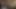 Seksi kız oral seks yapıyor.. Seksi vücuduna ve amına bak beni çıldırtıyor