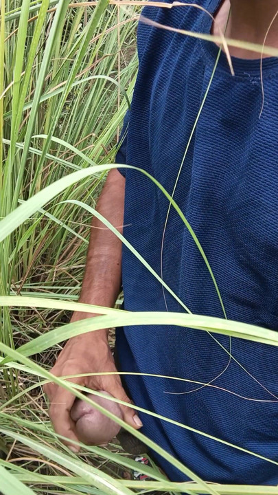 Today I am in the mood to jerk my penis.