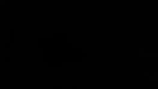 Pertunjukan penjualan