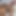 18 yaşındaki seksi genç Chidera evde yalnızken büyük zenci yarağı üvey babadan Noel hediyesi olarak amını dağıtıyor