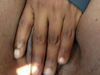 Chatte jamaïcaine rasée