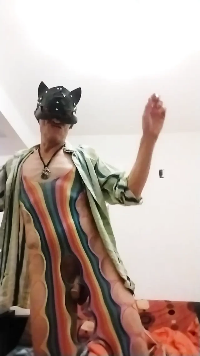 Sexy Rainbow Cat !!