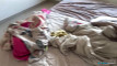 Pratinjau video