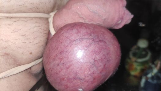 Tied cock and balls. Bondage. Small cock