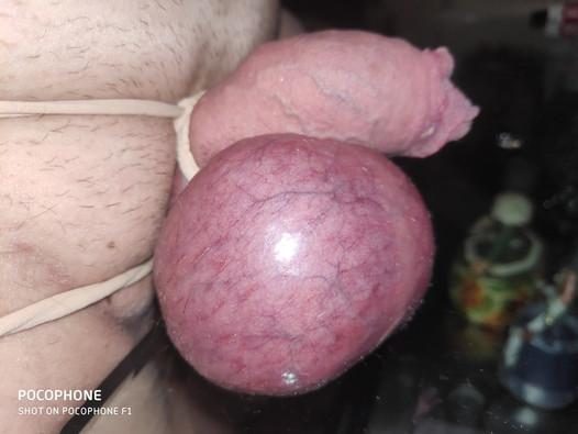 Tied cock and balls. Bondage. Small cock