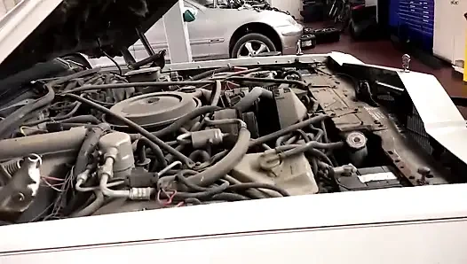 Sexy deutsche schlampen werden kaum gefickt