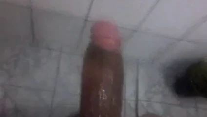 Meu pau duro