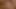RealityLovers - Stunning Redhead Red Bird