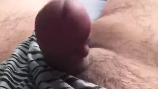 Benim küçük horoz uyan