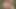 Big monsters fucks hard a teenage girl in the dark dungeon