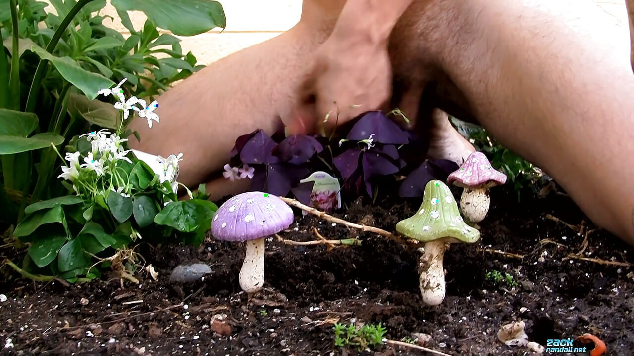 Giving the Plants Some Protein