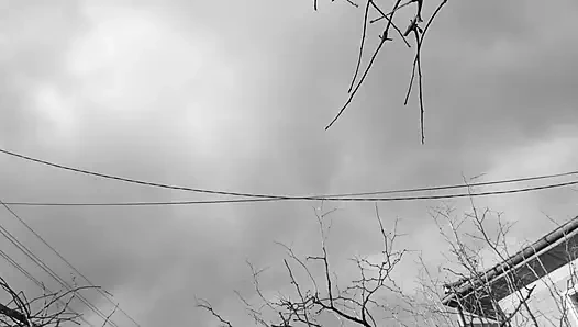 Peeing in the nature