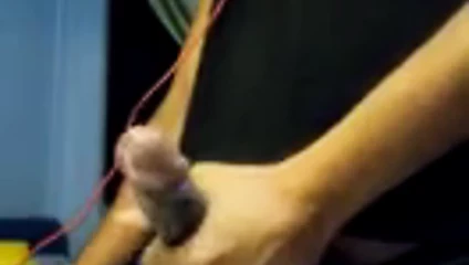 Dolu yarak