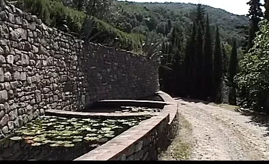 Uma Best-Cuore Di Mamma