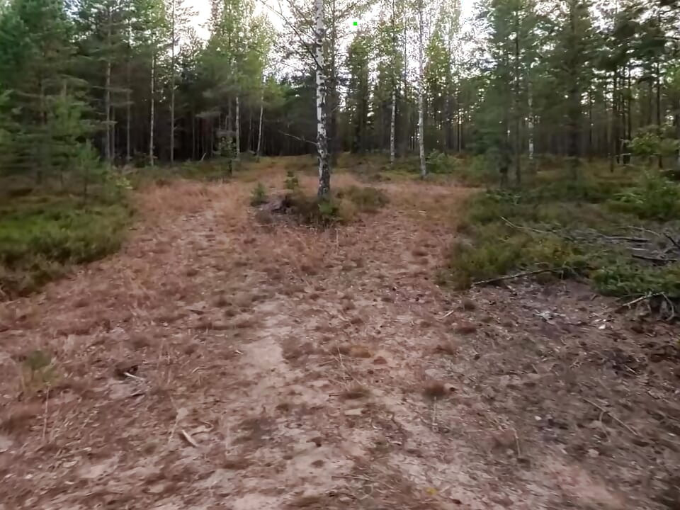 Boy wanders naked through Sweden