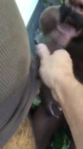 black sucker