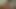 Amateur 21yo teen giving blowjob and gets anal fucked