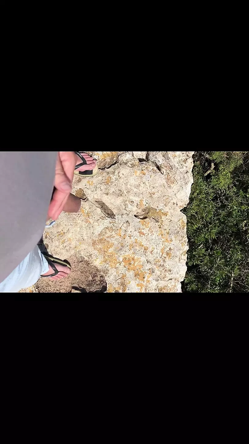 在我的假期，我想让你看到我从悬崖上撒尿，以为我的变性人妻你会来我，抱住我的鸡巴，把我的鸡巴尿在我身上