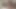 Pi Ladyboy cocksucking WORK