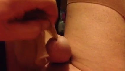 Penis