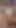 Firstanalquest - Ashley Rabbit nefret sikişi anal seks yapıyor