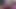 フィッシュネットのクイーン