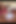3917845167.mp4