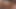 MILF bertetek besar Holly Halston menggembirakan jantan muda yang kaku