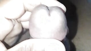 الرجيج الهندي قبالة.