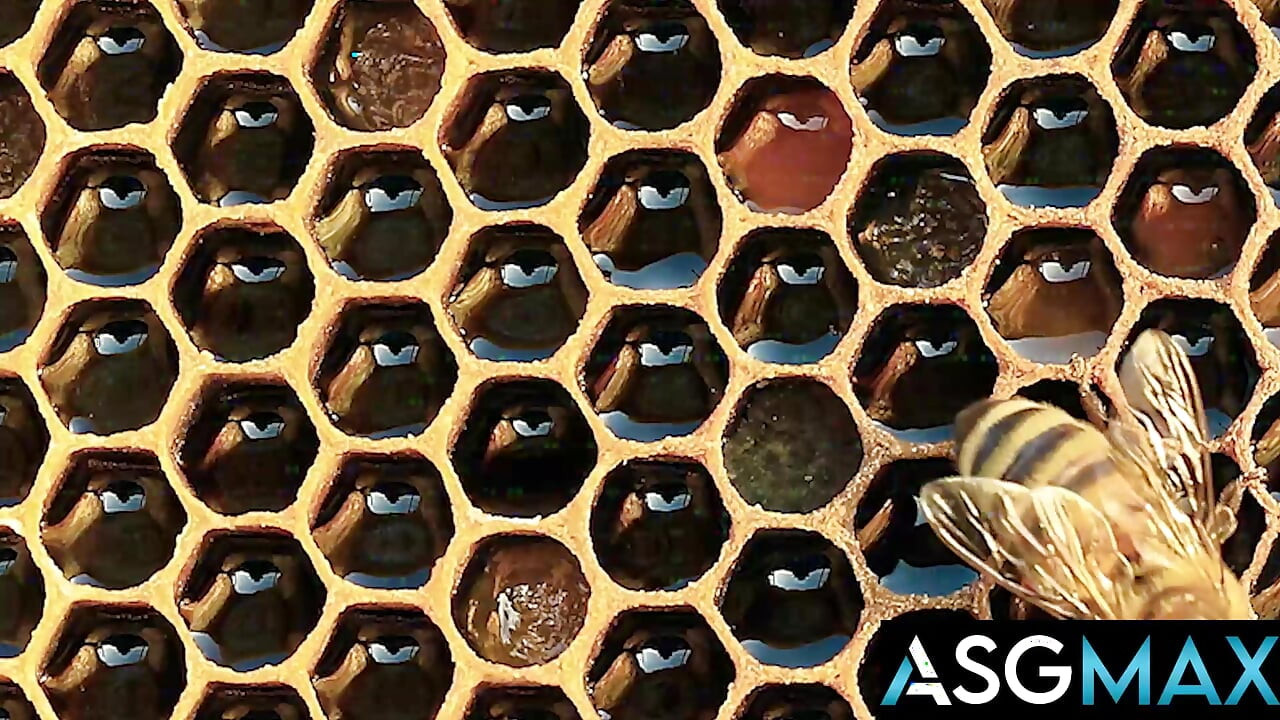 FILMY DESTRUKCYJNE - Hive Pt 1 - Namiętne pożegnanie chłopaka przed wyjściem na odosobnienie zmieniające życie