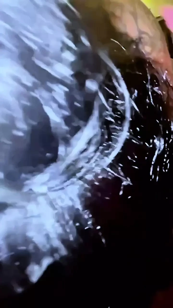 Cock Worshipping Slut