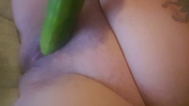 Cucumber