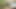 MARINE: YOUNG BUSTED JACKING OFF ON BASE