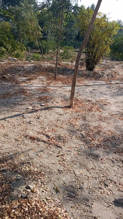 Village main maz