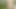 Sexy MILF walks naked in a field outside the city. Big natural boobs. Nudism