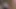 Another Clip of Me Getting Fucked by Three Blacked Musclar Nigerian Men Part 2
