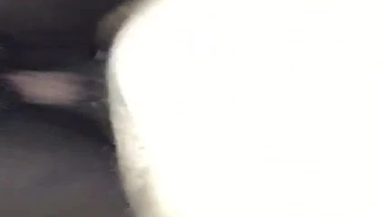 creamy pussy bbw