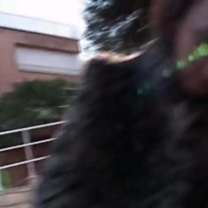 Sexy Video: Alys Rebel, Angelina, Nikita