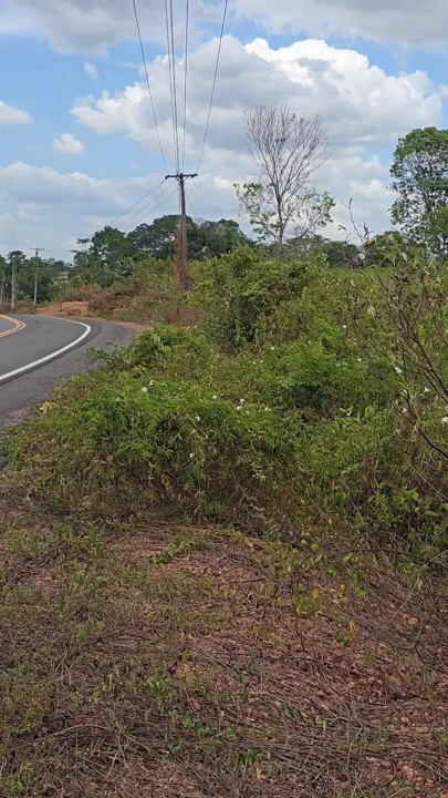 話すこと、そよ風を感じること、友達を作ること、それ以上のものはありません | クリップ 1