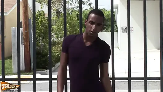 Lafayette