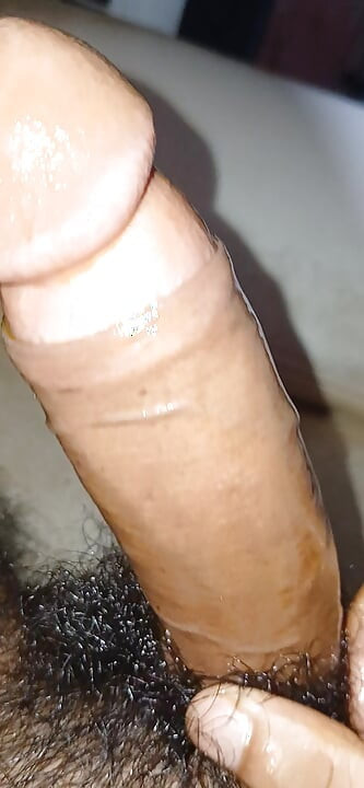 Batang panjang diminyak