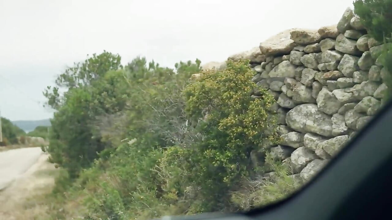 Horny Hitchhiker Give with Her Mouth for the Ride