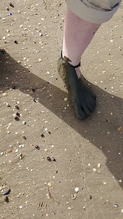 Short Test in the Mudflats on the Beach of Horumersiel